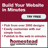 Build a Professional Looking Website with Homestead.com.
