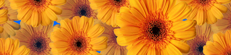 Stills of Life Photography