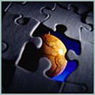 World globe puzzle with piece missing.