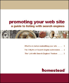 Promoting&nbsp;Your&nbsp;Site