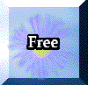 Get your free email address