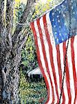 Original of Sunset on Pond Road - July 4th - 48x36 Original. Acrylic and Oil on Canvas. 