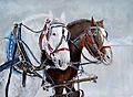 Original of Across the Ice - Original 22x30. Watercolor. 